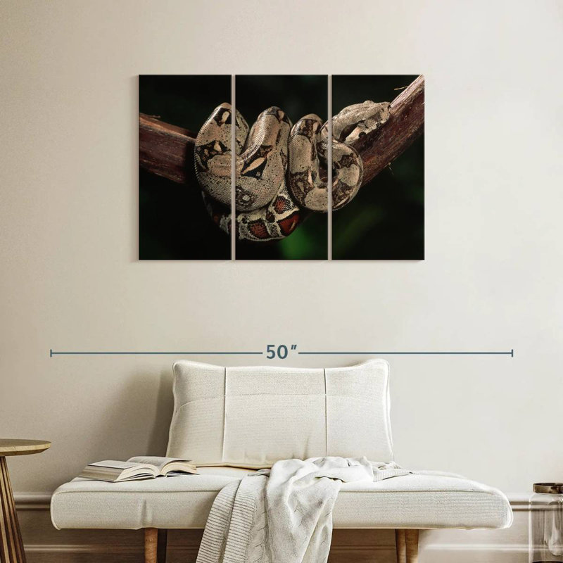 Boa Constrictor, 24" H x 38" W