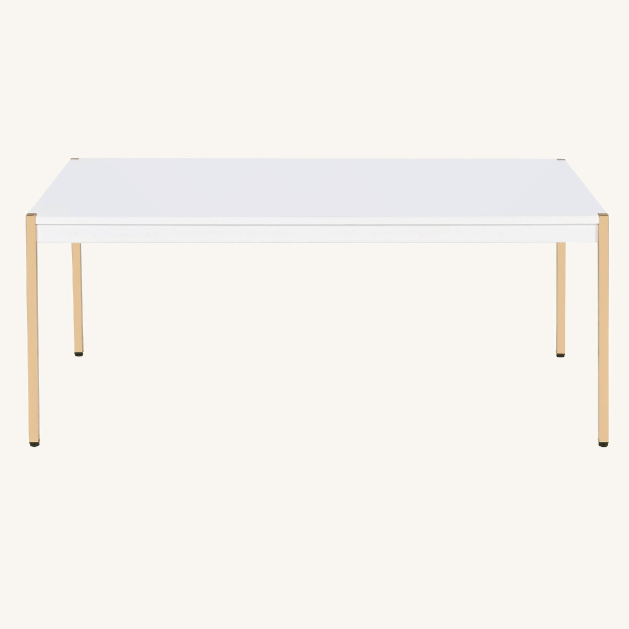 Mercer41 White And Gold Rectangle Coffee Table Wayfair Canada