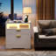 73cm Wide 2 -Drawer File Cabinet-2021688806