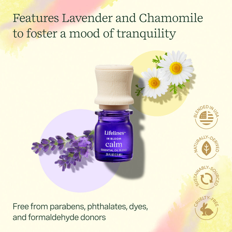 Battery Powered Essential Oil Diffusers