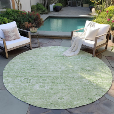 Tapis intérieur / extérieur lavable à la machine Chayden ACN1089 Aloe