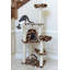 Arbre à chat 66 "en bois véritable classique