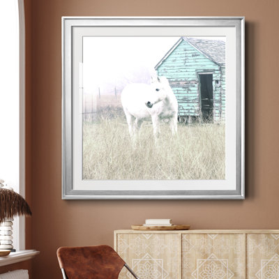 High High Horse I - photographie avec cadre