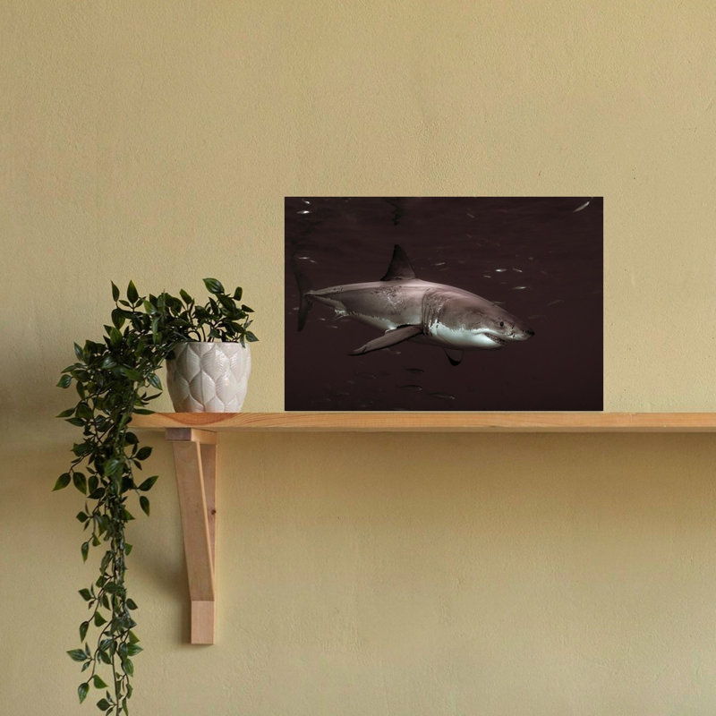 Grand requin poisson contemporain, impression d'art mural, H 16 po x l 24 po