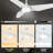 Alcia 52'' Ceiling Fan with LED Lights-784732637