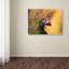 « resting puffin' », impression sur toile tendue-22674290