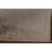 Floral Traditional Area Rug 7x10