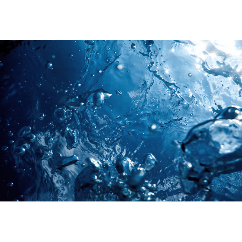 Underwater View - Wrapped Canvas Photograph, 24" H x 36" W  