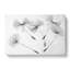Dandelion Seeds Vol.2 - Wrapped Canvas-61849186