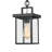 Dekotah Black 1 -Light Outdoor Pendant-1999727489
