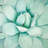 Succulent Closeup - Cactus Round Outdoor Area Rug for Decor
