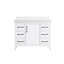 Meuble-lavabo simple 42 po_Traditional_VF60642-BS-20934089