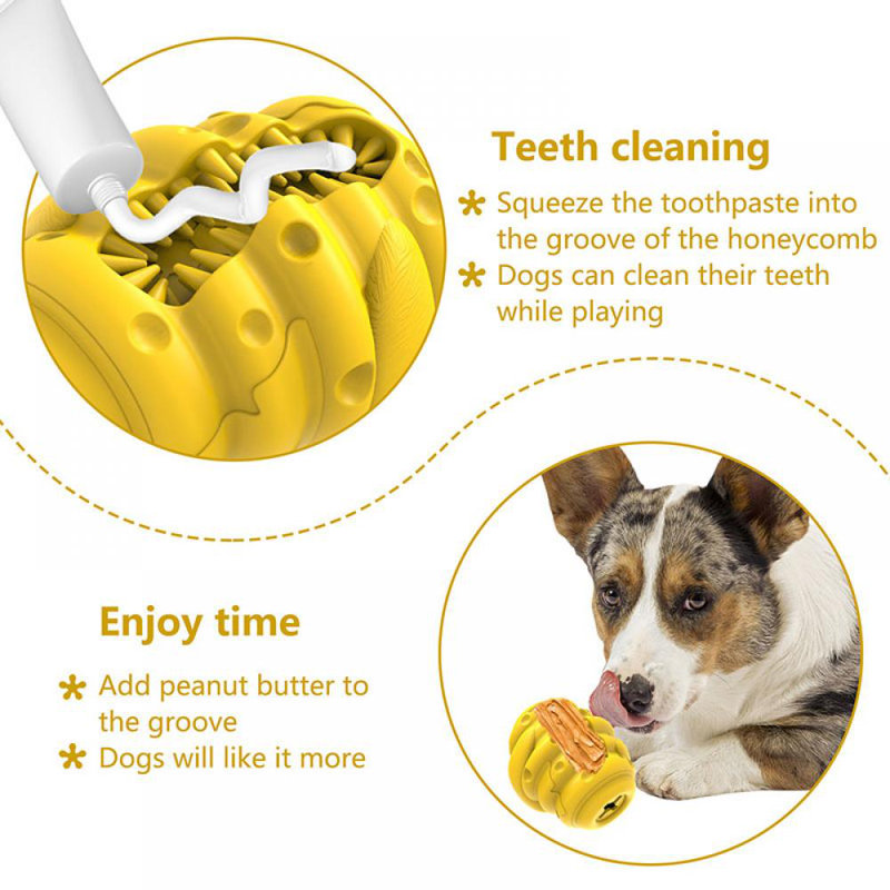 Mangeoire hybride pour animaux de compagnie