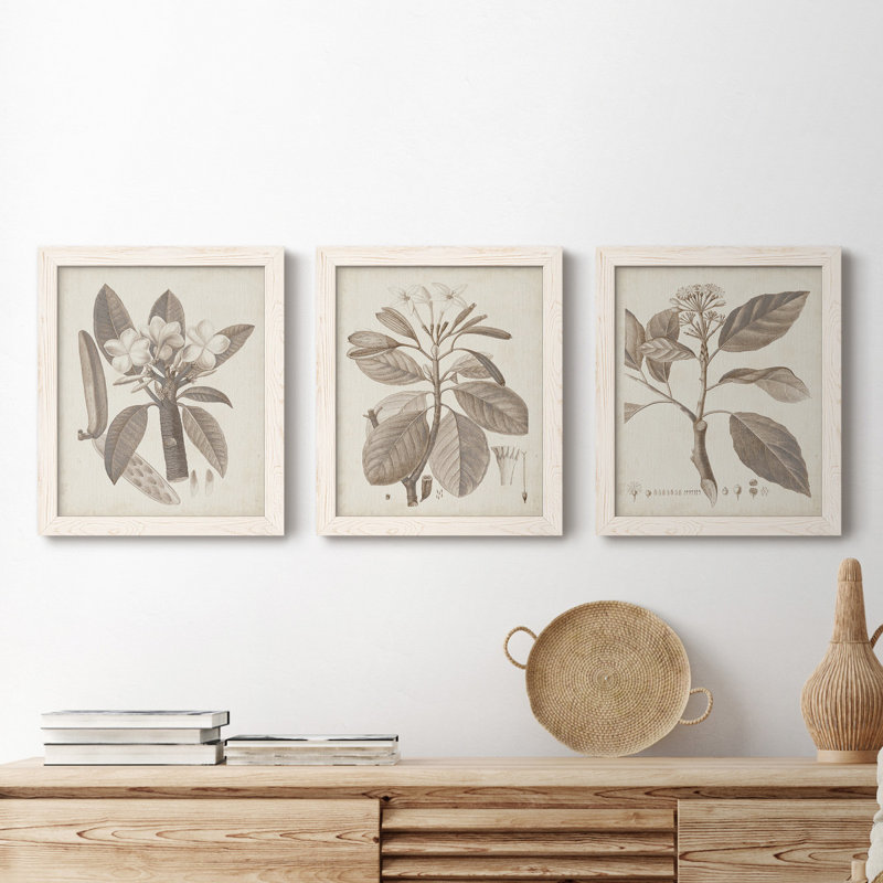 Ensemble de 3 cadres photo sur toile Midnight Tulip V, Blanc, H 24 po x l 36 po x P 1,5 po
