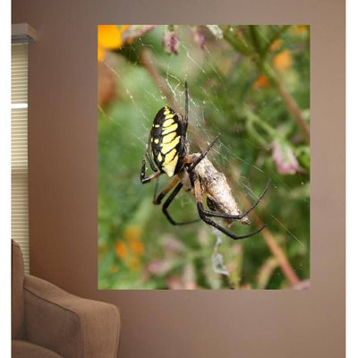Batie Non-Wall Damaging Wall Decal
