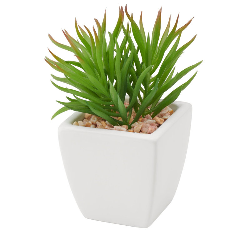 Mini Faux Spike Succulent in Ceramic Pot