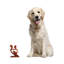Figurine en bois Dreama