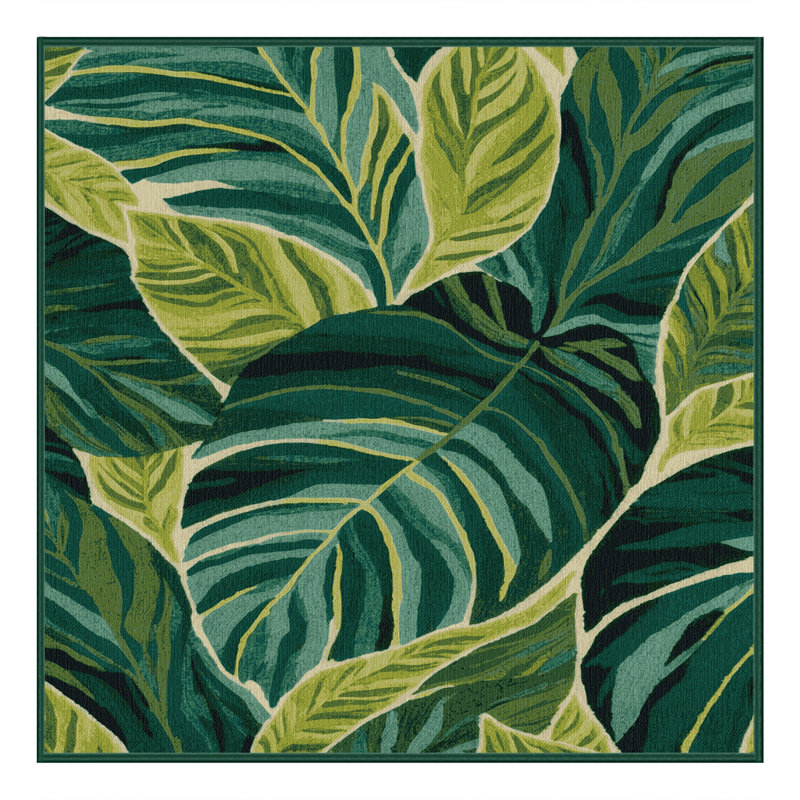 Tapis vert botanique lavable à la machine, Carré 4 pi