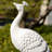 Elegant Peacock Urn Statue