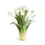 Peony Tulip Drop-In-478499452