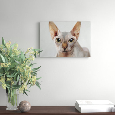 Sphynx Cat - Wall Art