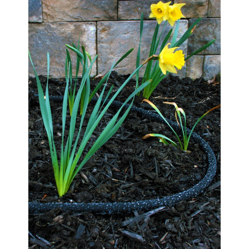 Good Ideas Rubber Drainable Hose and Hose