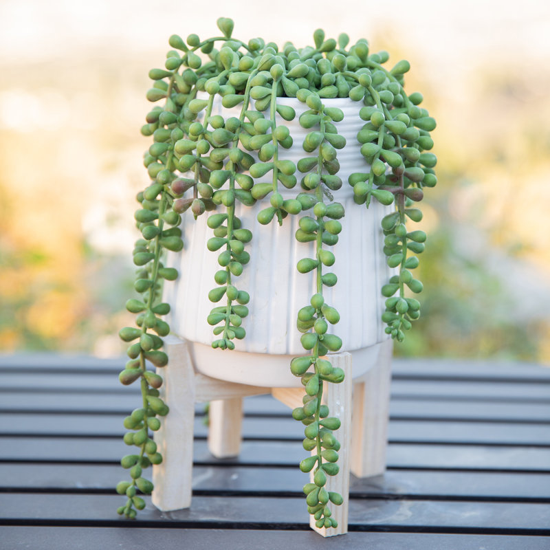 10'' Faux Succulent in Ceramic Pot