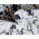 Bragi Geometric Indoor Rug