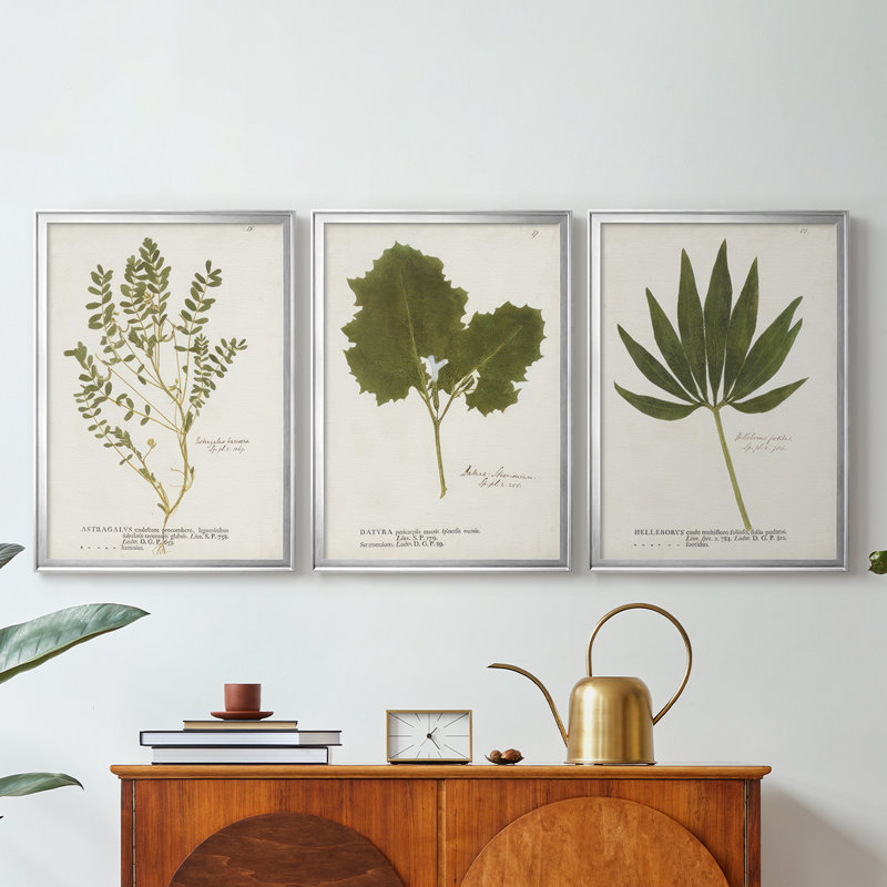 Nature imprimé fougères X - Toile tendue avec châssis sur mesure - 3 pièces, Argent argent, H 39 po x l 81 po
