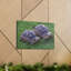 Tortoise Couple Tortoise Couple, reproduction d'art mural-72179288