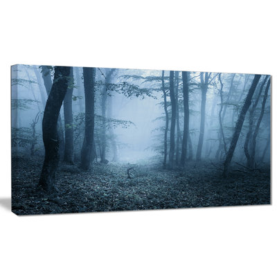 « brumey spring forest », reproduction de photo sur toile tendue