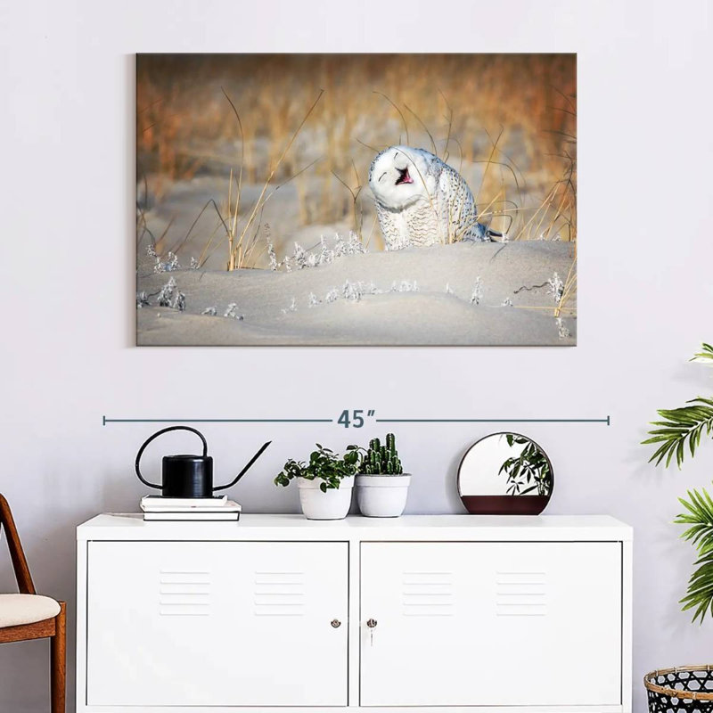 Chouette des neiges Brampt, H 26 po x l 39 po