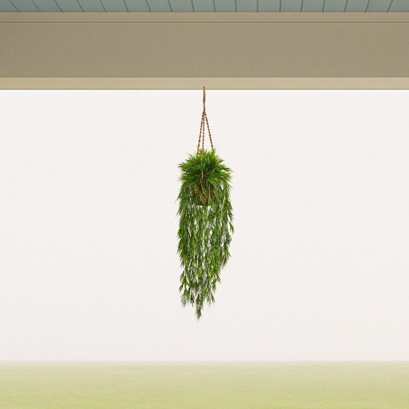 Mini Bamboo Hanging Basket