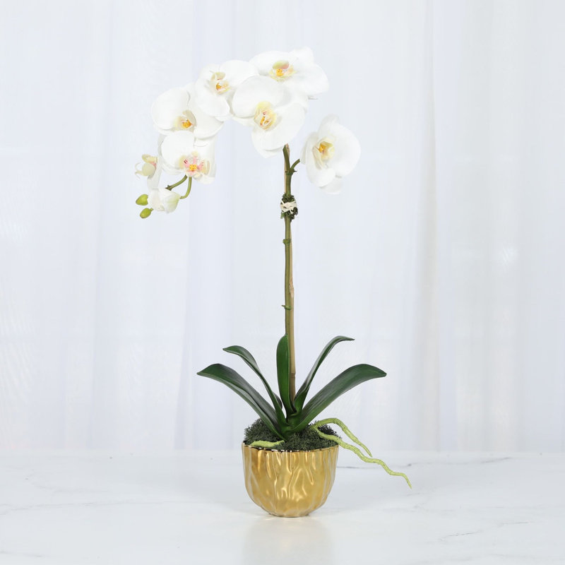 Silk Orchid Plant In White Vase, White, Gold