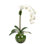 Real-Touch Orchid Phalaenopsis