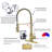 Kitchen Faucet with Pull Down Sprayer-113714567