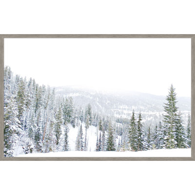 «Winter White 2»