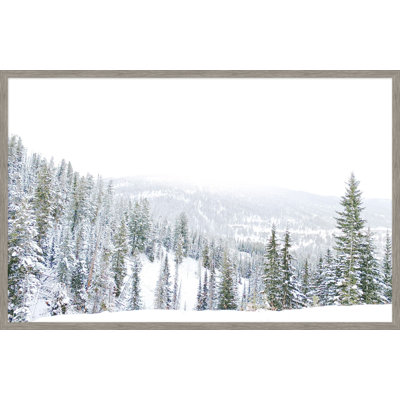 Winter White 2 Framed Photographic Print