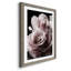 Rose noire II - photographie-1227621818-1227621813