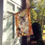 Chat en feuilles d'automne-112700526