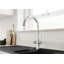 BLANCO MAX II, MAX Family Kitchen Faucet-98705748
