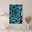 «Blue», succulent, rosette, spirale, feuilles, Macro, art mural sur toile-132734286