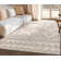 Augustine Chiara Tribal Moroccan Beige High-Low Flat-Weave Rug