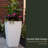 Mayne Kobi 26-Inch Self-Watering Tall Planter-989272694