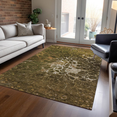Tapis intérieur / extérieur en polyester tissé à la machine Raenee