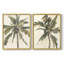 Antique Watercolor Palm Study I-Premium Framed Print -Ready to Hang - No Nails Required - No Nails Required-644194980-644194971