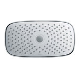 Raindance Rain Shower Head with Select