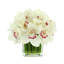 Orchid in Flat Glass Vase-2083013312