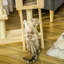 Kristopher 98cm H Cat Tree