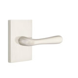 Basel Round Passage (Hall & Closet) Door Lever with Rectangle Rosette